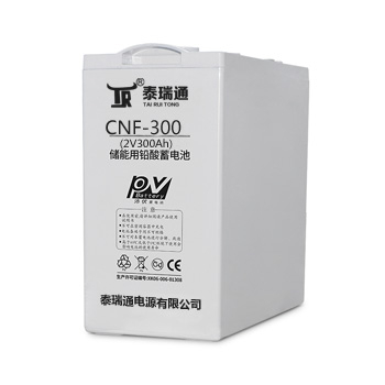 CNF-300