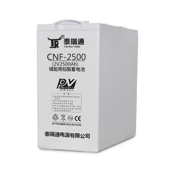 CNF-2500