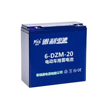 6-DZM-20